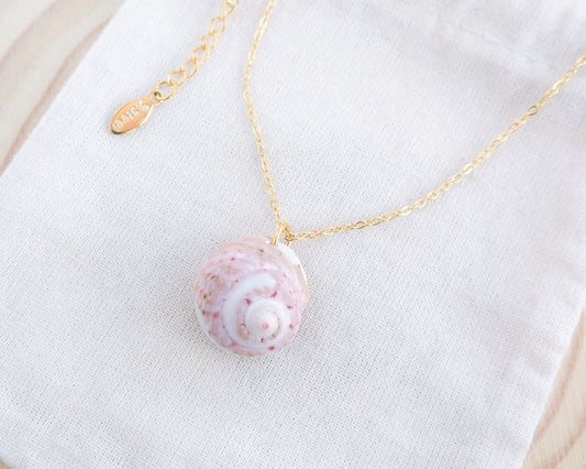 Soft Pink White Shell Gold Necklace, Pink White Magus Top Shell from Portugal on display 