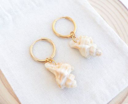 Gold Sting Winkle Shell Hoop 16mm Earrings from Portugal on display
