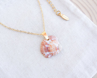 Strawberry Venus Shell Necklace Gold on display side view, unique shell from Portugal