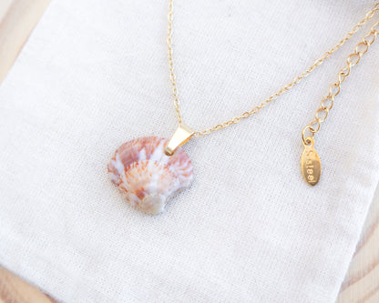 Close up of strawberry venus seashell pendant. The pendant is a natural seashell with red and white hues with a unique marble pattern. The chain and clasp are 18k gold stainless steel. The necklace is displayed on a white cloth. The necklace has a delicate chain and an adjustable clasp. The pendant is approximately 2.5 cm in length.