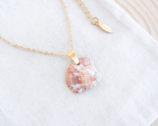 Strawberry venus seashell pendant. The pendant is a natural seashell with red and white hues with a unique marble pattern. The chain and clasp are 18k gold stainless steel. The necklace is displayed on a white cloth. The necklace has a delicate chain and an adjustable clasp. The pendant is approximately 2.5 cm in length.