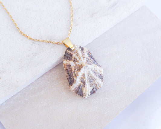 Striped Brown Mediterranean Limpet Shell Gold Necklace displayed on stone close up, Limpet Shell from Portugal 