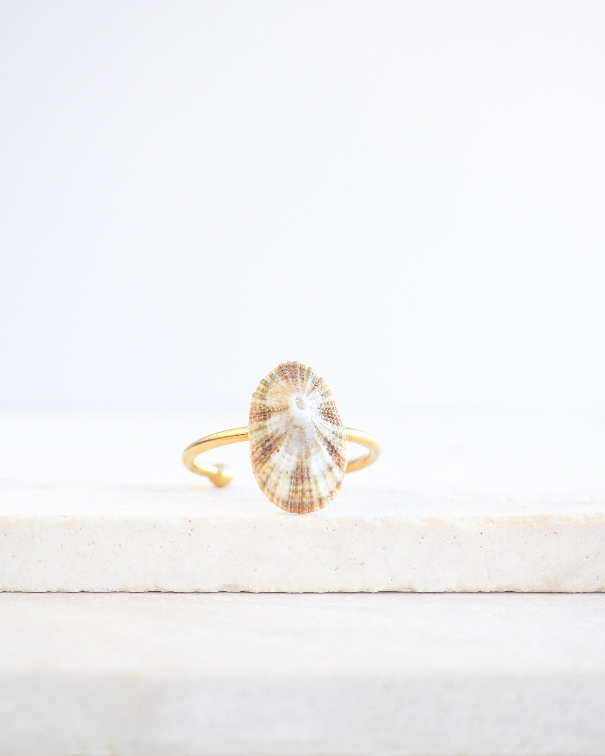 Striped Common Keyhole Limpet Shell Ring on display, Light Limpet Shell from Portugal set in a 18k gold stainless steel adjustable ring 