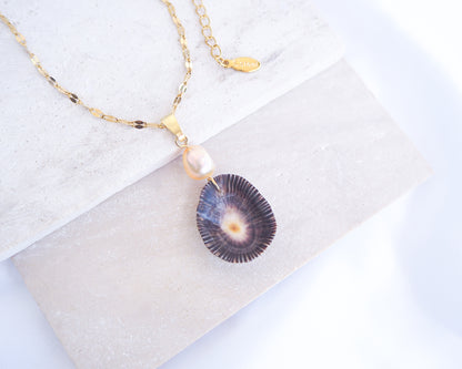 Striped Limpet Shell Pearl Necklace on display, Dark Limpet Shell from Portugal with freshwater pearl and gold chain. 