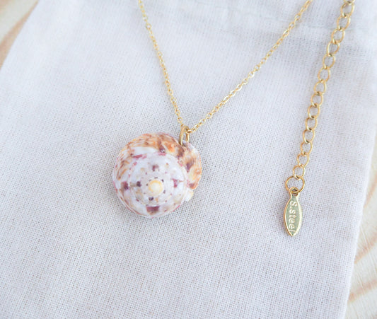Sunny Magus Top Shell Necklace from Portugal on display 