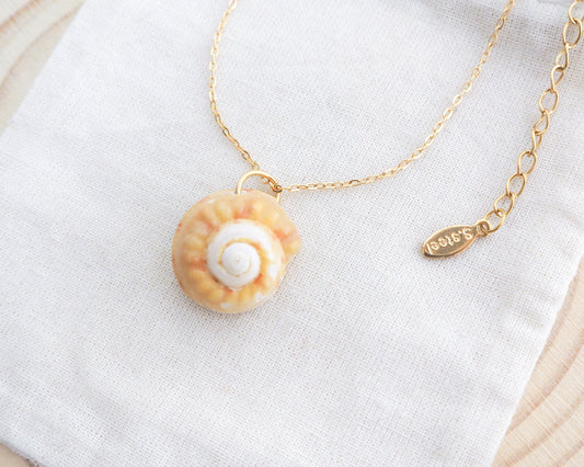 Sunny Magus Top Shell Necklace on display. A gold chain necklace with a delicate orange seashell pendant. The seashell is a orange in colour with a white interior. It's a handpicked magus top shell from the beach of Portugal.