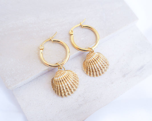 Sunny Mediterranean Cockle Shell Gold Earrings from Portugal displayed on stone, handpicked yellow cockle shells from Portugal, seabylou, ocean inspired earrings, beach gift
