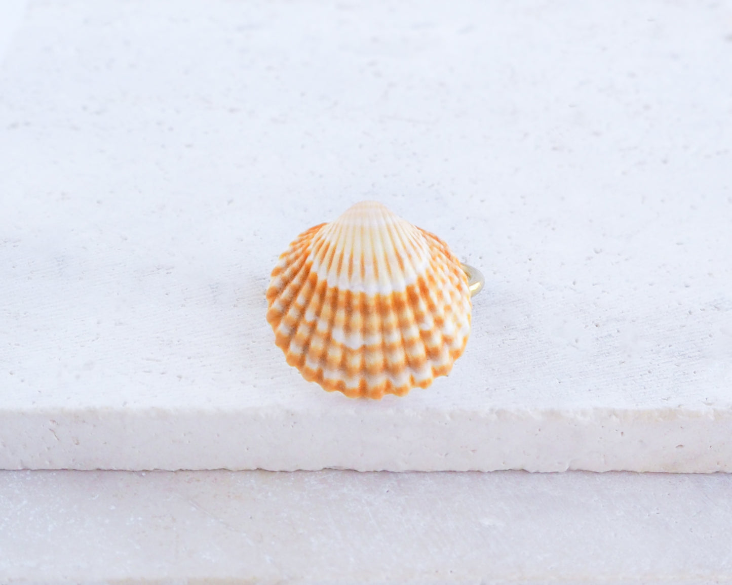Sunny Mediterranean Cockle Shell Gold Ring front view