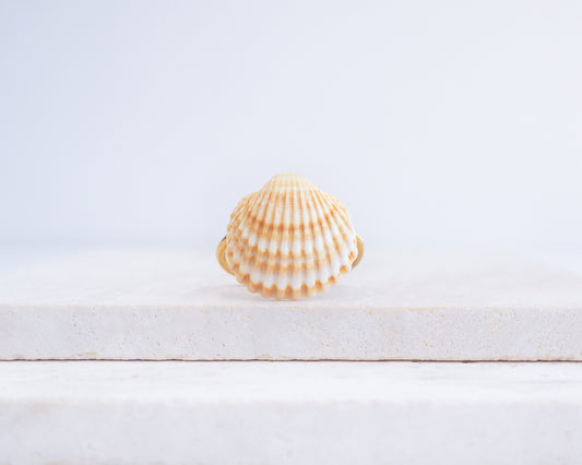 Sunny Portuguese Mediterranean Cockle Shell Gold Ring V displayed on stone, Yellow Shell from Portugal