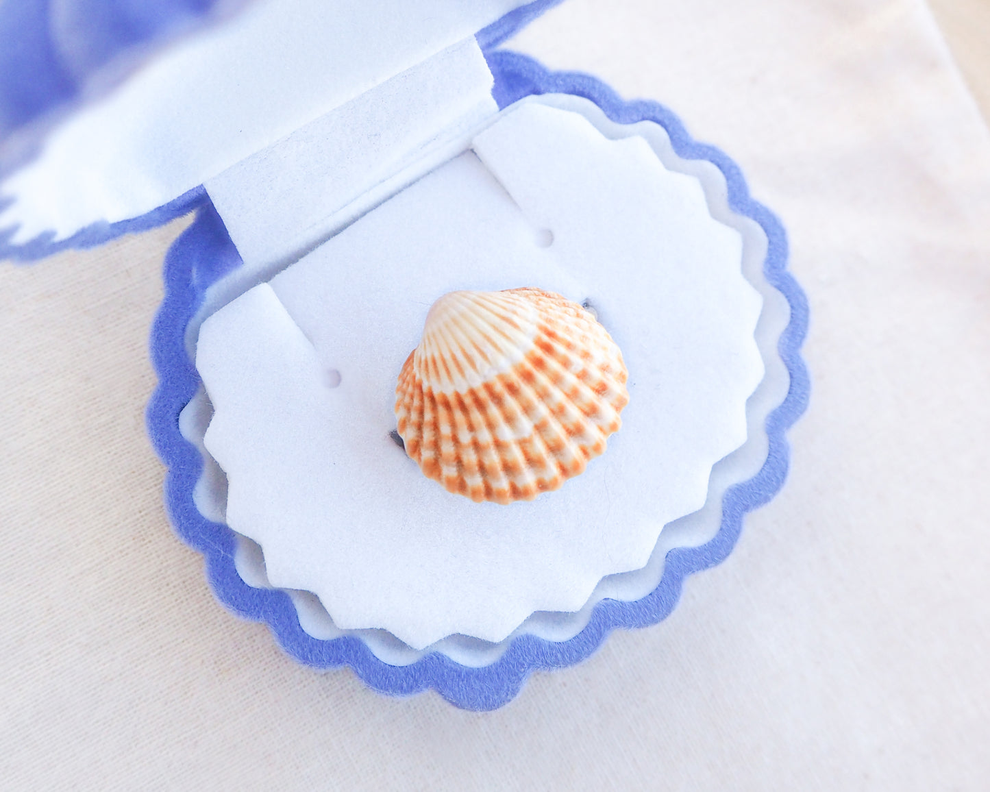 Tiny Sunny Mediterranean Cockle Shell Ring in seashell box, Sunny Shell from Portugal, Summer Jewelry, Sea by Lou