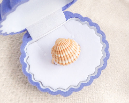 Sunny Portuguese Mediterranean Cockle Shell Gold Ring V in blue seashell jewelry box