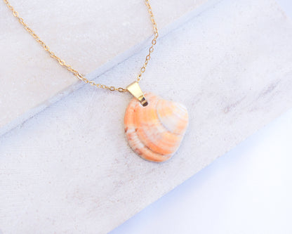 Sunshine Venus Shell Gold Necklace with shell from Portugal displayed on stone 