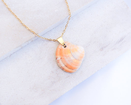 Sunshine Venus Shell Gold Necklace with shell from Portugal displayed on stone 