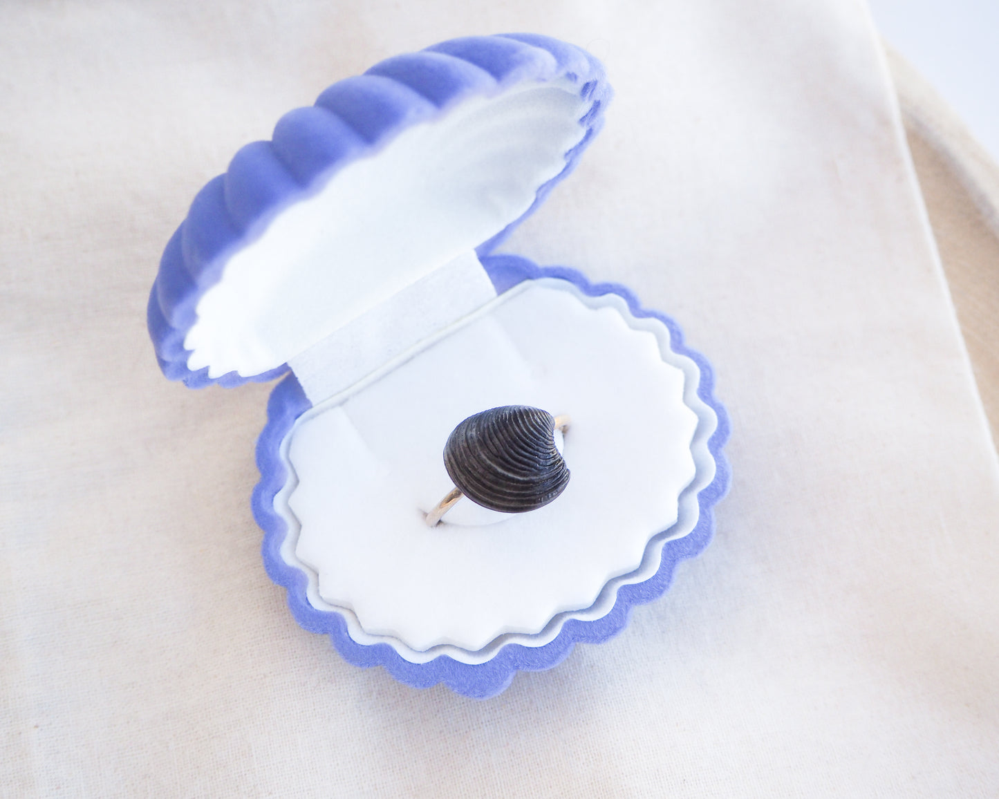 Tiny Black Venus Shell Gold Ring in blue white jewelry box. Handpicked real black venus shell from Portugal, adjustable 18k gold stainless steel shell ring