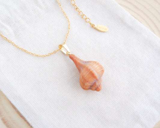 Tiny Brown Murex Shell Gold Necklace on display