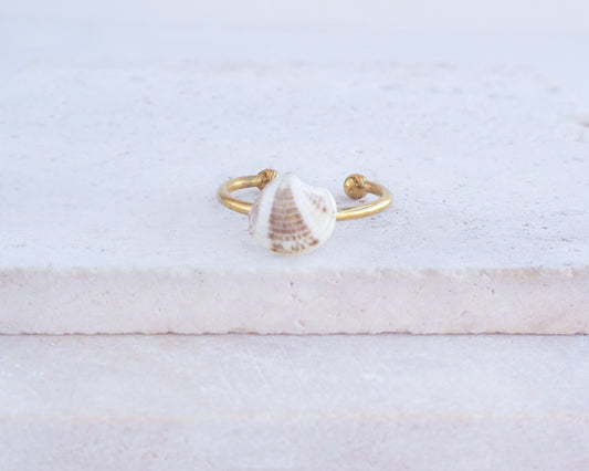Tiny Brown White Venus Shell Ring on display, Gold Stainless Steel Shell Ring, Beach Summer Jewelry, Sea by Lou 
