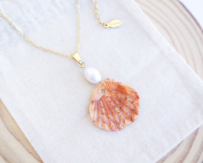 Close up of Tiny Coral Scallop Shell Pearl Necklace on display, Pilgrims Scallop Shell from Portugal with freshwater pearl and gold chain. 