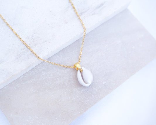Tiny Cowrie Shell Gold Necklace, European Cowrie Shell Necklace, Trivia monacha shell, Portuguese cowrie shell jewelry