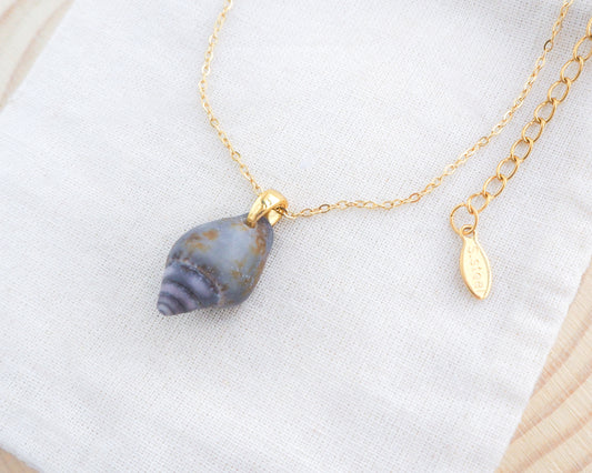 Tiny Dark Dove Shell Gold Necklace, Tiny shell from Portugal 