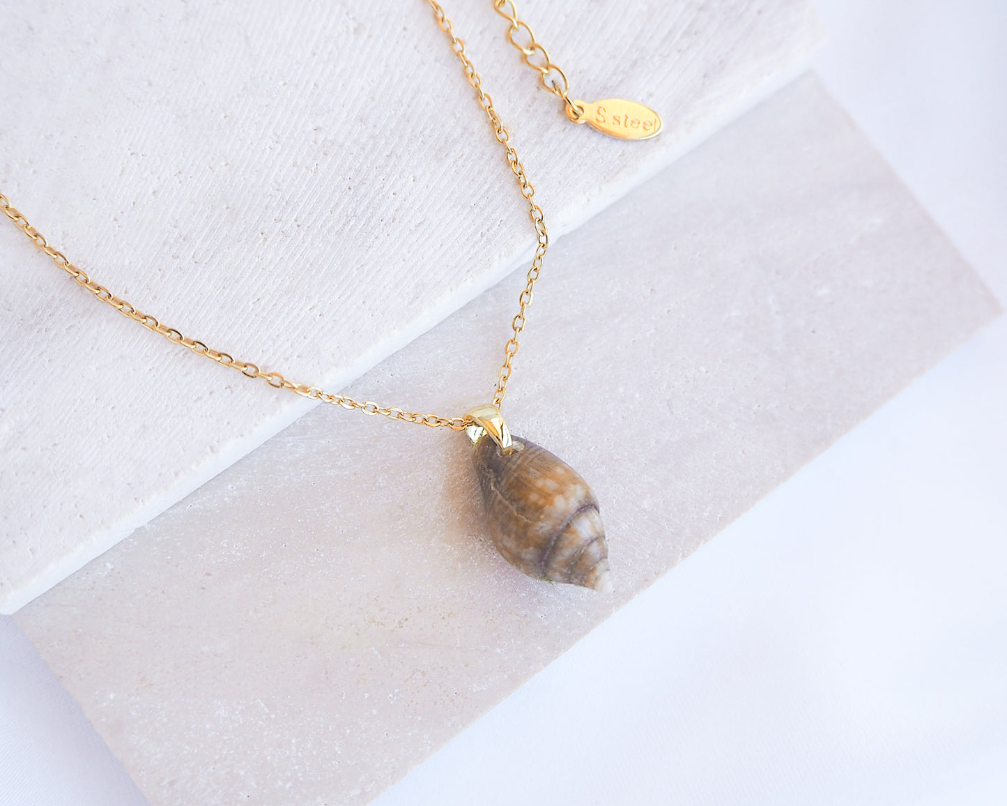 Tiny Dark Dove Shell Gold Necklace, Tiny shell from Portugal, Real Dove Shell Jewelry