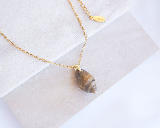 Tiny Dark Dove Shell Gold Necklace, Tiny shell from Portugal, Real Dove Shell Jewelry