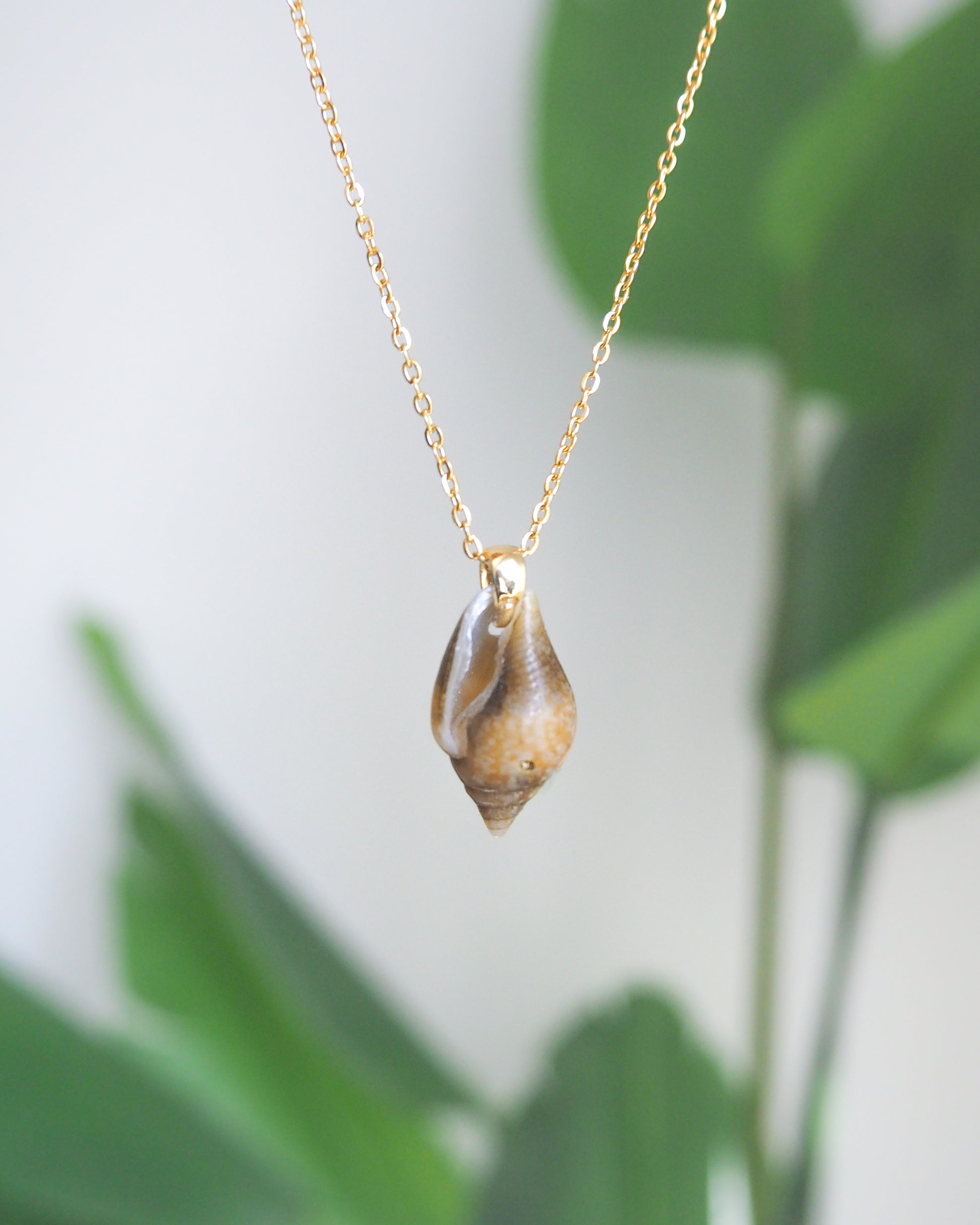 front view of Tiny Dark Dove Shell Gold Necklace with plant background