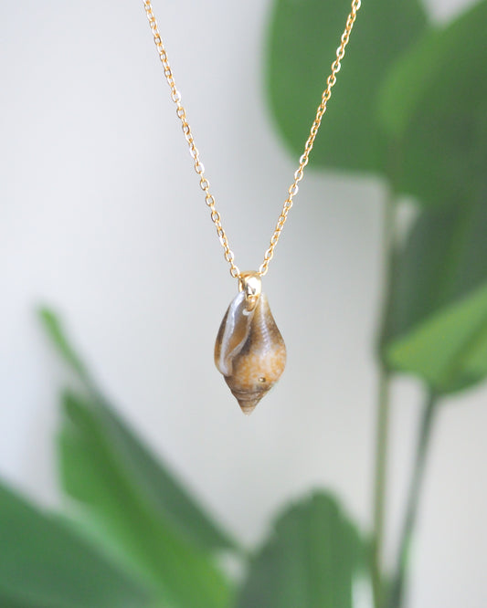 front view of Tiny Dark Dove Shell Gold Necklace with plant background