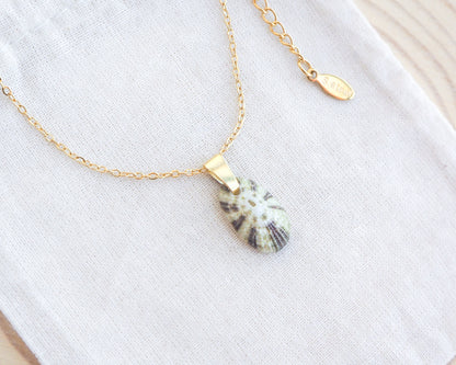 Tiny Green Common Keyhole Limpet Shell Gold Necklace on display, Green Limpet Shell from Portugal