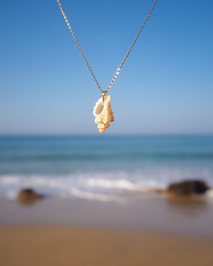 Tiny Light Sting Winkle Shell Necklace with blue ocean background, Shell handpicked from Portugal, Made with 18k gold stainless steel