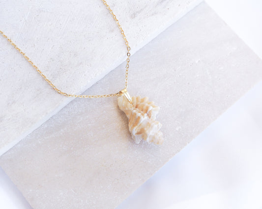 Tiny Light Sting Winkle Shell Necklace on stone display, Shell handpicked from Portugal, Made with 18k gold stainless steel