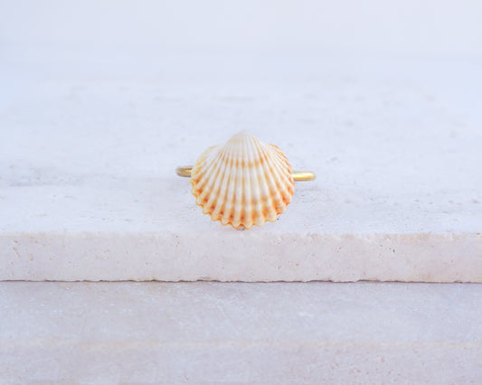Tiny Mediterranean Cockle Shell Ring on display, Sunny Shell from Portugal, Summer Jewelry, Sea by Lou