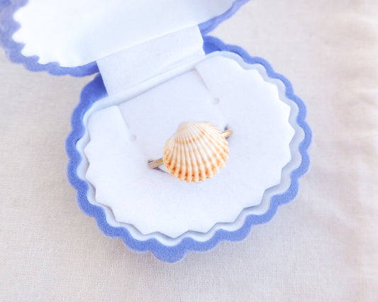 Tiny Mediterranean Cockle Shell Ring in seashell box, Sunny Shell from Portugal, Summer Jewelry, Sea by Lou
