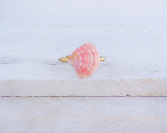 Tiny Soft Pink Venus Shell Gold Ring on display, Pink Tiny Shell from Portugal, Summer Jewelry, Sea by Lou