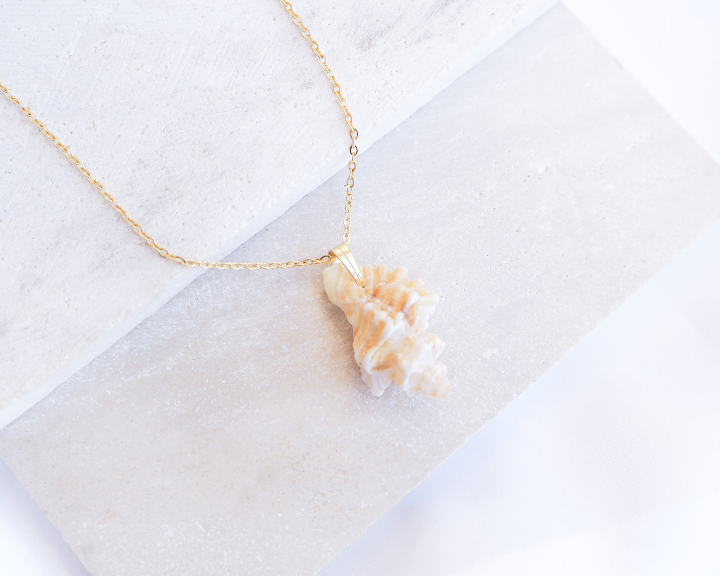 Tiny Light Sting Winkle Shell Necklace on stone display, Shell handpicked from Portugal, Made with 18k gold stainless steel