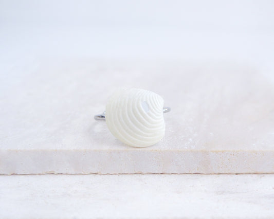 Tiny White Venus Shell Silver Ring displayed on stone front view, Handpicked real white venus shell from Portugal, silver stainless steel shell ring