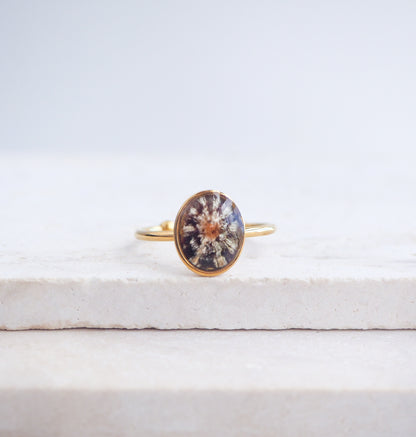 Tiny Zebra Limpet Shell Gold Ring displayed on stone, Limpet Shell Bezel Ring, 18k gold stainless steel, handpicked limpet from the beach of Portugal, Black-Footed Limpet Shell