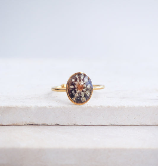 Tiny Zebra Limpet Shell Gold Ring displayed on stone, Limpet Shell Bezel Ring, 18k gold stainless steel, handpicked limpet from the beach of Portugal, Black-Footed Limpet Shell