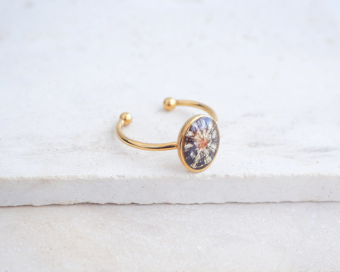 Side view of Tiny Zebra Limpet Shell Gold Ring displayed on stone, Limpet Shell Bezel Ring, 18k gold stainless steel, handpicked limpet from the beach of Portugal, Black-Footed Limpet Shell
