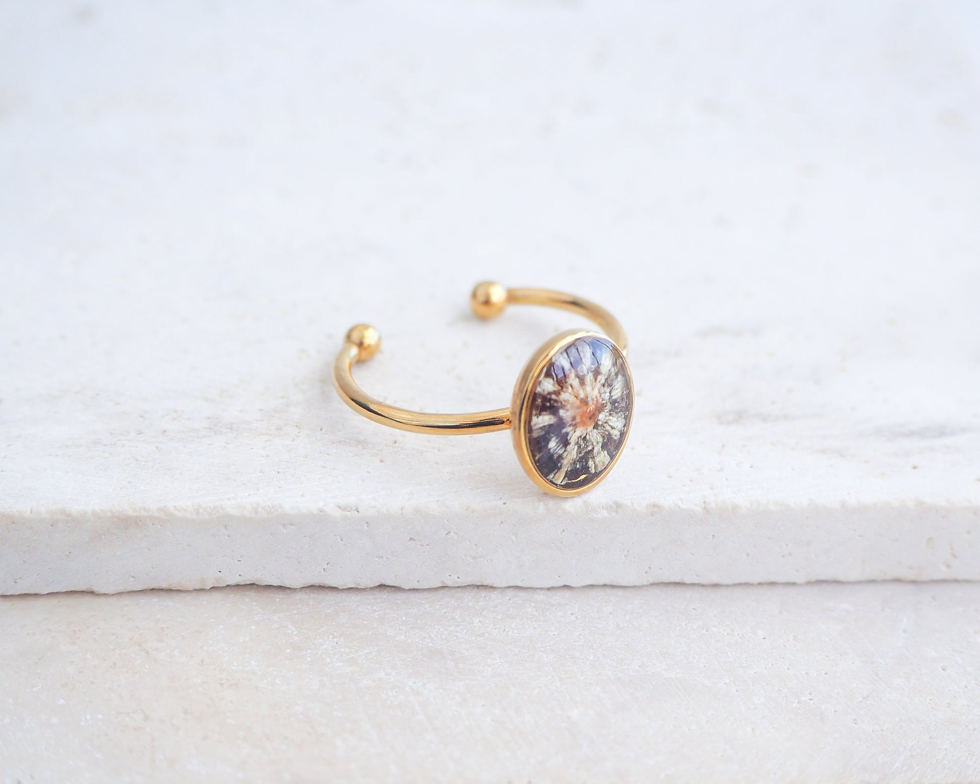 Side view of Tiny Zebra Limpet Shell Gold Ring displayed on stone, Limpet Shell Bezel Ring, 18k gold stainless steel, handpicked limpet from the beach of Portugal, Black-Footed Limpet Shell