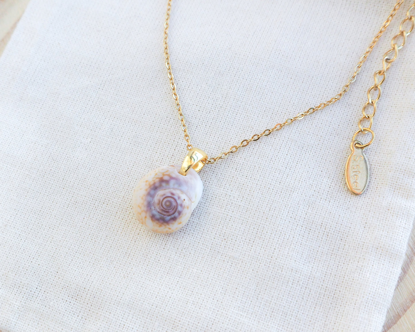 Close up of Tritia Neritea Shell Gold Necklace on display, handpicked shell from Portugal. Made with 18k gold stainless steel clasp and chain. Nassa mud shell from Portugal.