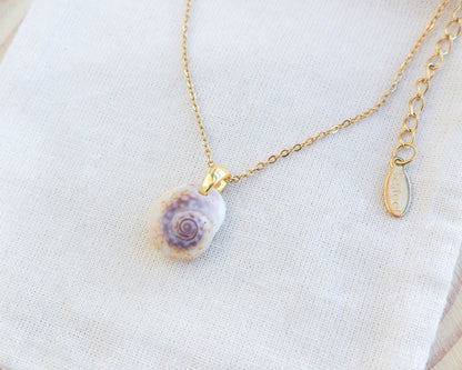 Close up of Tritia Neritea Shell Gold Necklace on display, handpicked shell from Portugal. Made with 18k gold stainless steel clasp and chain. Nassa mud shell from Portugal.