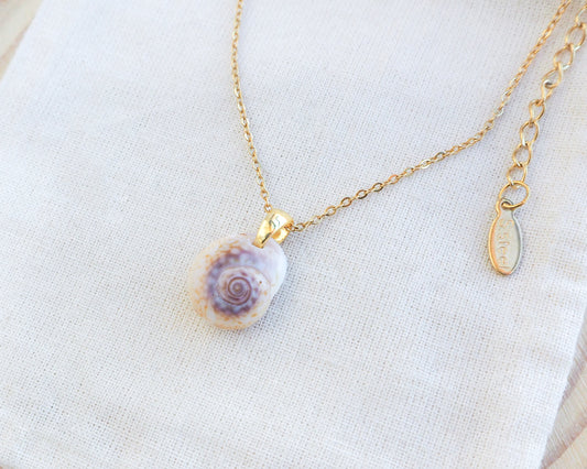 Close up of Tritia Neritea Shell Gold Necklace on display, handpicked shell from Portugal. Made with 18k gold stainless steel clasp and chain. Nassa mud shell from Portugal.