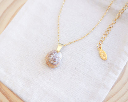 Side view of Gold Tritia Neritea Shell Gold Necklace on display, handpicked tritia neritea shell from Portugal, 18k gold stainless steel necklace chain 