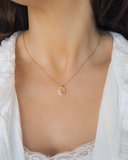 Tritia Neritea Shell Gold Necklace on neck model