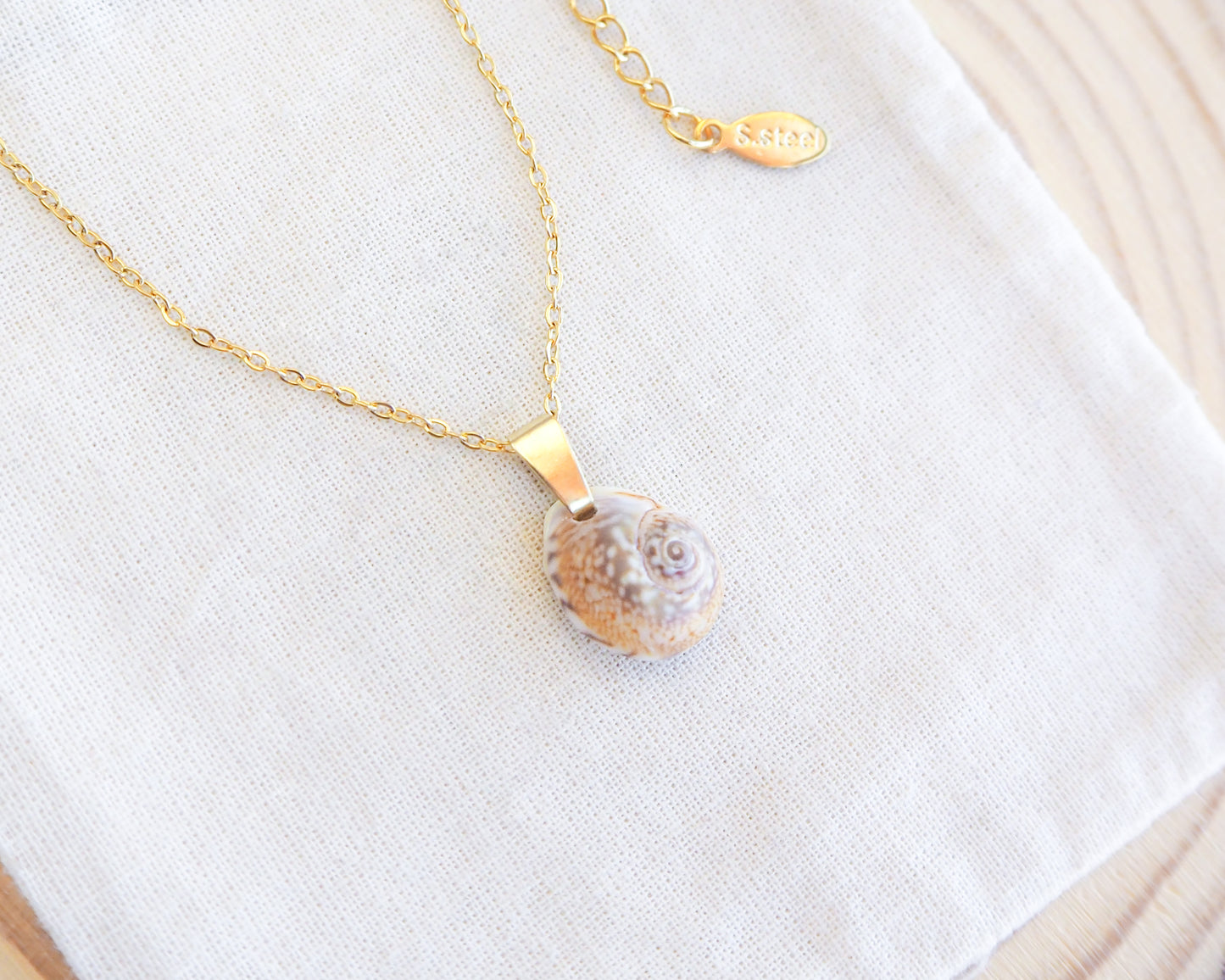 Close up of Tritia Neritea Shell Necklace on display, handpicked tritia neritea shell from Portugal, 18k gold stainless steel necklace chain 