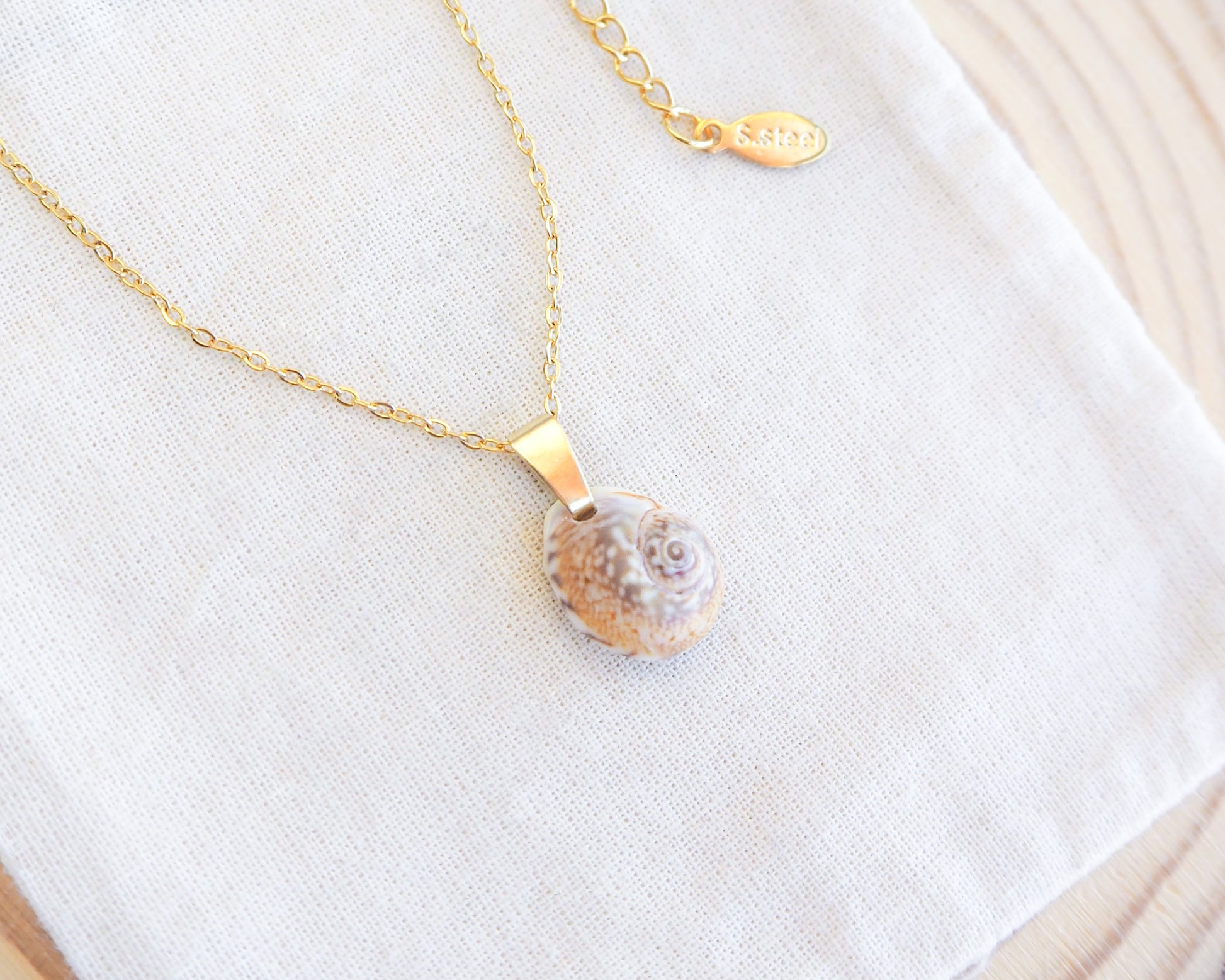 Close up of Tritia Neritea Shell Necklace on display, handpicked tritia neritea shell from Portugal, 18k gold stainless steel necklace chain 