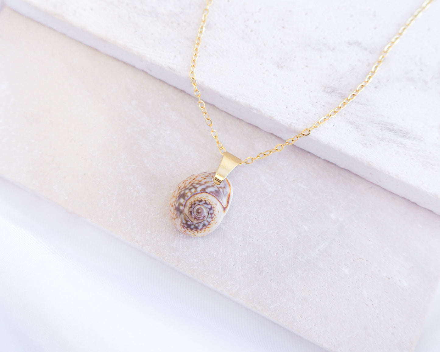 Side view of Gold Tritia Neritea Shell on display, handpicked tritia neritea shell from Portugal, 18k gold stainless steel necklace chain 