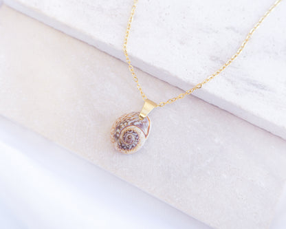 Side view of Gold Tritia Neritea Shell on display, handpicked tritia neritea shell from Portugal, 18k gold stainless steel necklace chain 