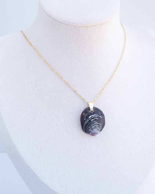 Ungulina Rubra Shell Gold Necklace on neck model