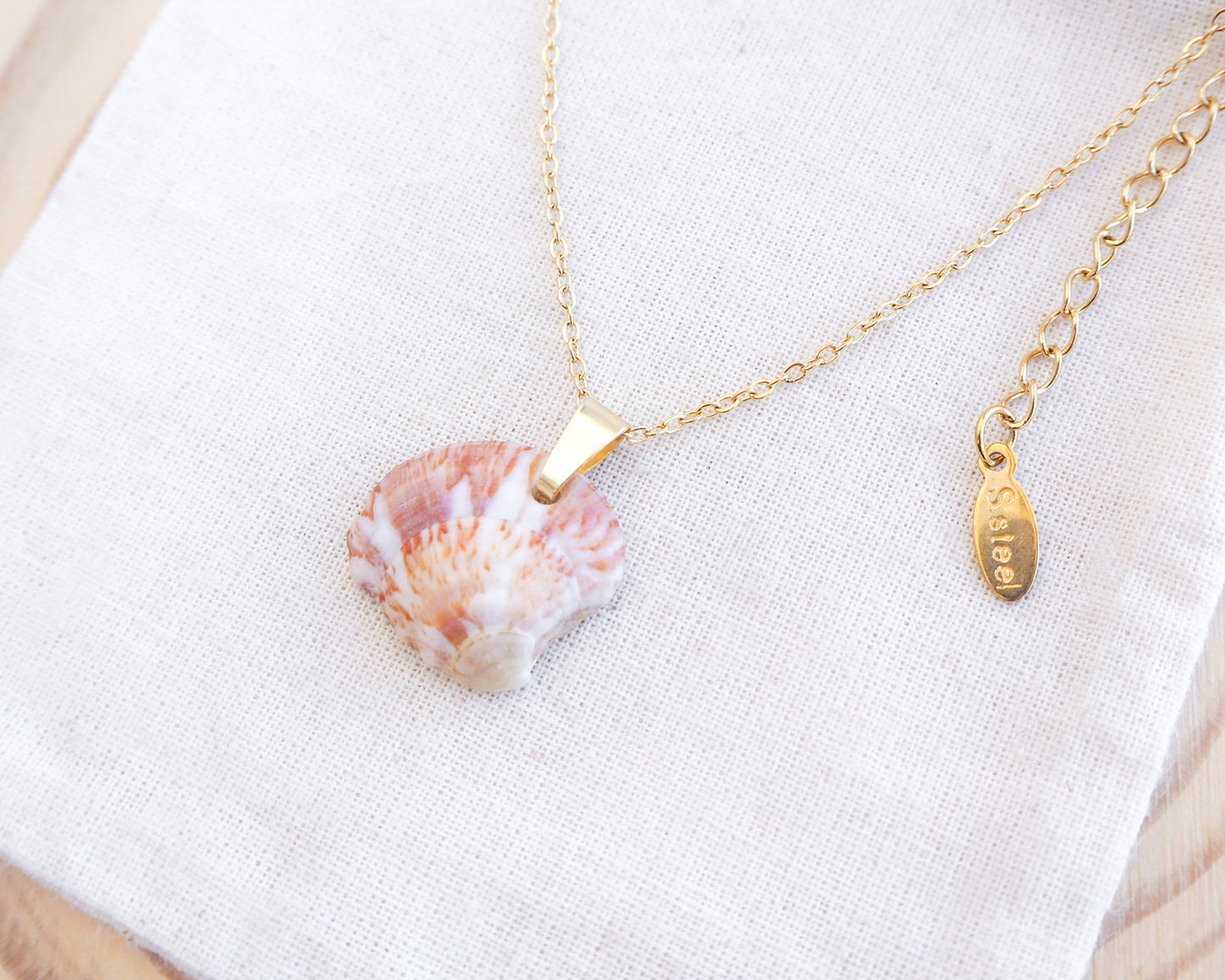 Strawberry Venus Shell Necklace Gold on display left view, unique shell from Portugal